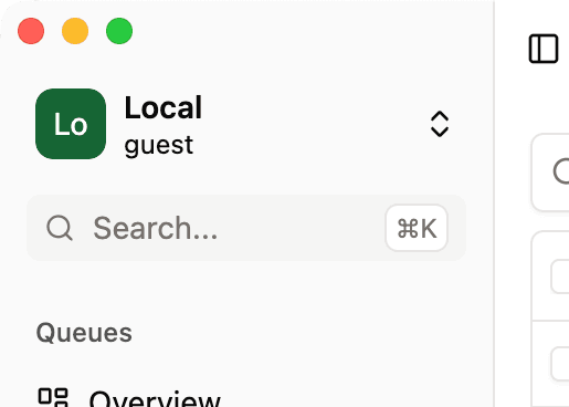 Search input screenshot